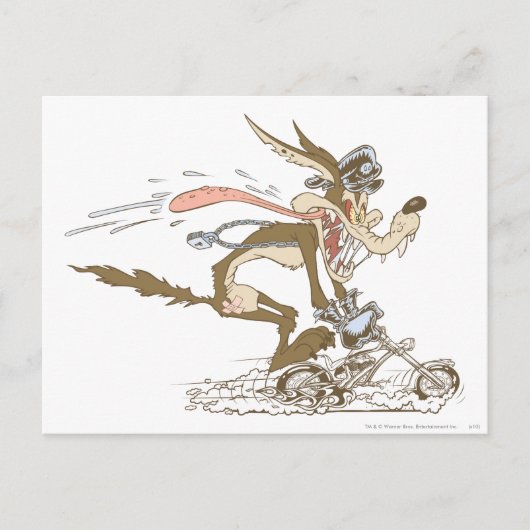 WILE E. COYOTE™ Cyclacer Postkarte (Vorderseite)