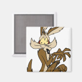 Wile E. Coyote Derp Magnet (Vorderseite/Rückseite)
