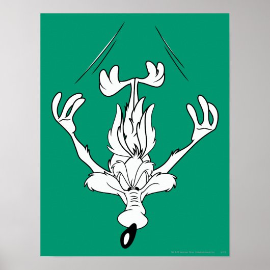 Wile E. Coyote Dive Bomb Poster (Vorne)
