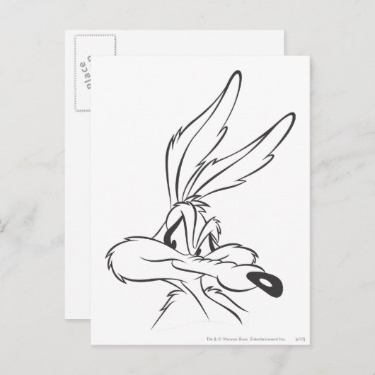 WILE E. COYOTE™ Expressive 7 Postkarte (Vorne/Hinten)