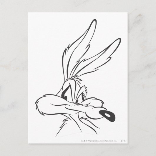 WILE E. COYOTE™ Expressive 7 Postkarte (Vorderseite)