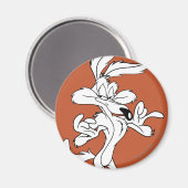 WILE E. COYOTE™ Looking erfreut Magnet (Vorderseite/Rückseite)