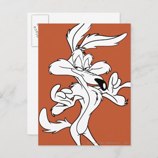WILE E. COYOTE™ Looking erfreut Postkarte (Vorne/Hinten)