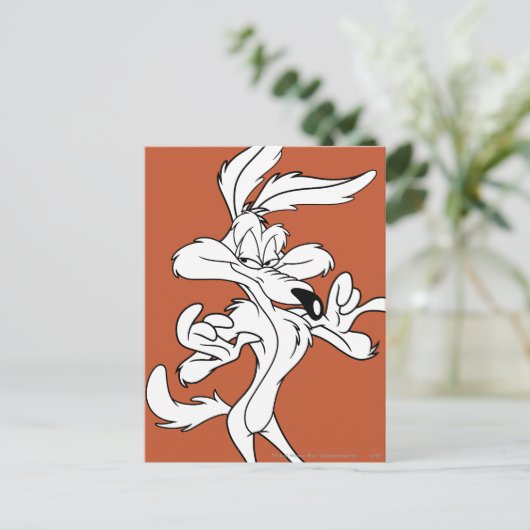 WILE E. COYOTE™ Looking erfreut Postkarte (Stehend Vorderseite)