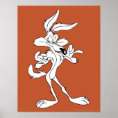 Wile E. Coyote Looking Pleased Poster (Vorne)