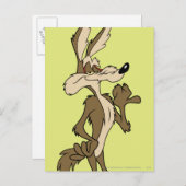 WILE E. COYOTE™ Looking Proud Postkarte (Vorne/Hinten)