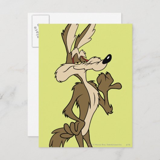 WILE E. COYOTE™ Looking Proud Postkarte (Vorne/Hinten)