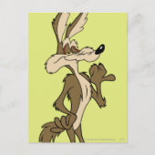 WILE E. COYOTE™ Looking Proud Postkarte (Vorderseite)
