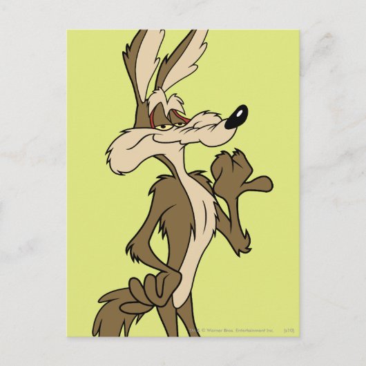 WILE E. COYOTE™ Looking Proud Postkarte (Vorderseite)