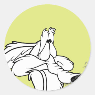 WILE E. COYOTE™ Nachschlagen Runder Aufkleber