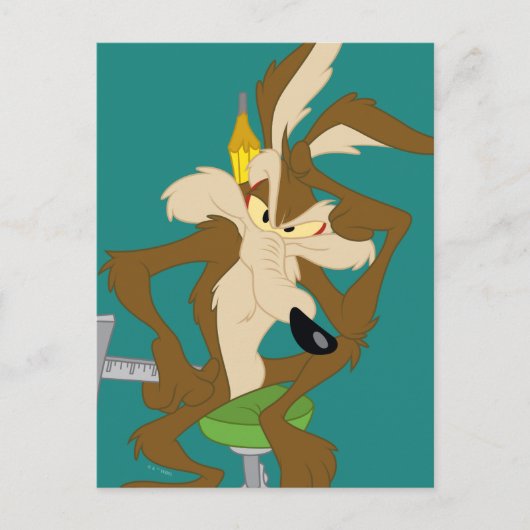 WILE E. COYOTE™ Planning Postkarte (Vorderseite)