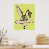 WILE E. COYOTE™ Pleased Head Shoot Poster (Küche)