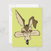 WILE E. COYOTE™ Pleased Head Shoot Postkarte (Vorne/Hinten)