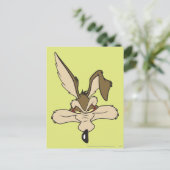WILE E. COYOTE™ Pleased Head Shoot Postkarte (Stehend Vorderseite)