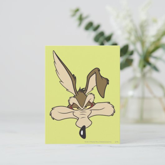 WILE E. COYOTE™ Pleased Head Shoot Postkarte (Stehend Vorderseite)