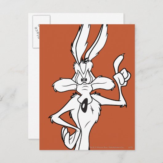 WILE E. COYOTE™ Punktmachen Postkarte (Vorne/Hinten)