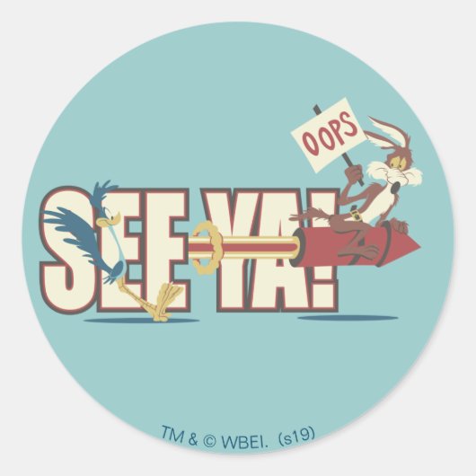 WILE E. COYOTE™ Rocketing Past ROAD RUNNER™ Runder Aufkleber (Vorderseite)