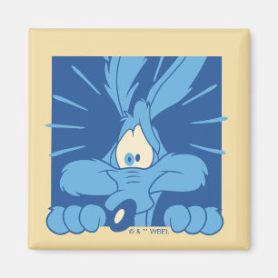 WILE E. COYOTE™ Schockierter Gesichtsausdruck Magnet