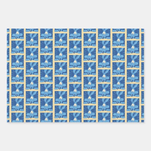 WILE E. COYOTE™ Shocked Expression Geschenkpapier Set (Vorderseite)