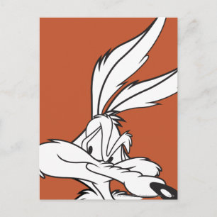 WILE E. COYOTE™ Sneaky aussehen Postkarte