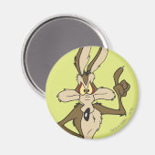 Wile E. Coyote Stehend Tall Magnet (Vorderseite/Rückseite)