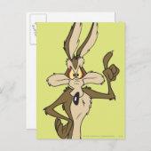 WILE E. COYOTE™ Stehend Tall Postkarte (Vorne/Hinten)