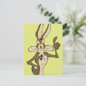 WILE E. COYOTE™ Stehend Tall Postkarte (Stehend Vorderseite)