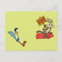 WILE E. COYOTE™ UND ROAD RUNNER™ ACME Rocket Postkarte