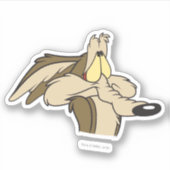 WILE E. COYOTE™ Unheil Aufkleber (Vorderseite)