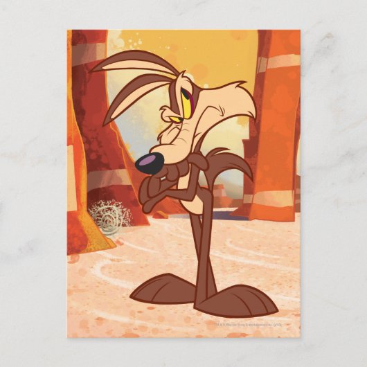 WILE E. COYOTE™-Waffen überquert Postkarte (Vorderseite)