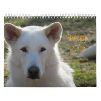Wiley-Kalender Kalender