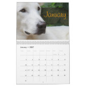 Wiley-Kalender Kalender (Jan 2027)