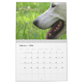 Wiley-Kalender Kalender (Feb 2026)