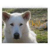 Wiley-Kalender Kalender (Titelbild)
