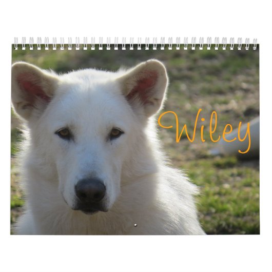 Wiley-Kalender Kalender (Titelbild)