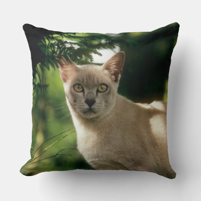 Wilham. Kissen (Vorderseite)