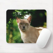 Wilham. Mousepad (Mit Mouse)