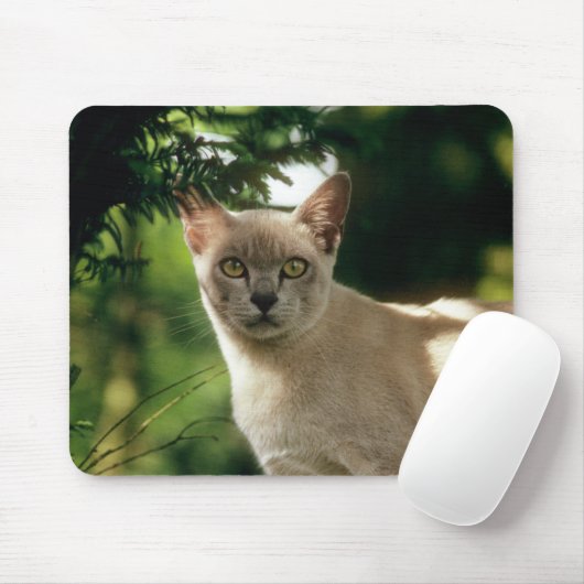 Wilham. Mousepad (Mit Mouse)