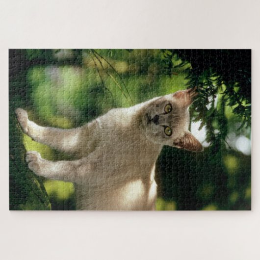 Wilham. Puzzle (Horizontal)