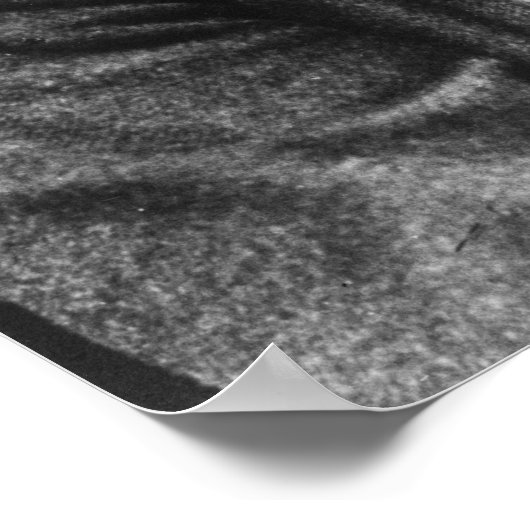 Wilhelm Liebknecht Poster (Ecke)