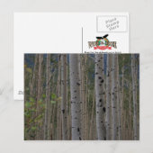 Will B Free Signature Post Cards Postkarte (Vorne/Hinten)