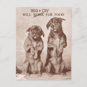 Will Beg & Cry für Nahrung Postkarte