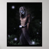 Will-o-Wisp Poster (Vorne)