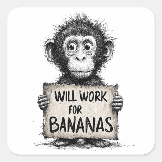 Will Work for Bananas - Humorous Monkey Sketch Quadratischer Aufkleber (Vorderseite)