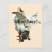 Will you Dance? Postkarte (Vorderseite)