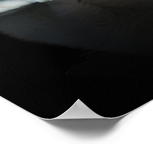 Will you meow me? poster (Ecke)