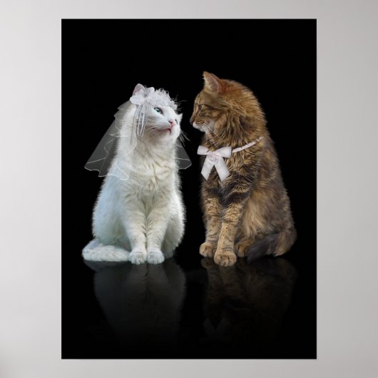 Will you meow me? poster (Vorne)