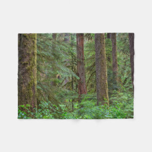Willamette National Forest Oregon Fleecedecke