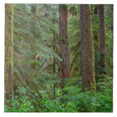 Willamette National Forest | Oregon Fliese (Vorderseite)