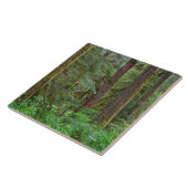 Willamette National Forest | Oregon Fliese (Seite)